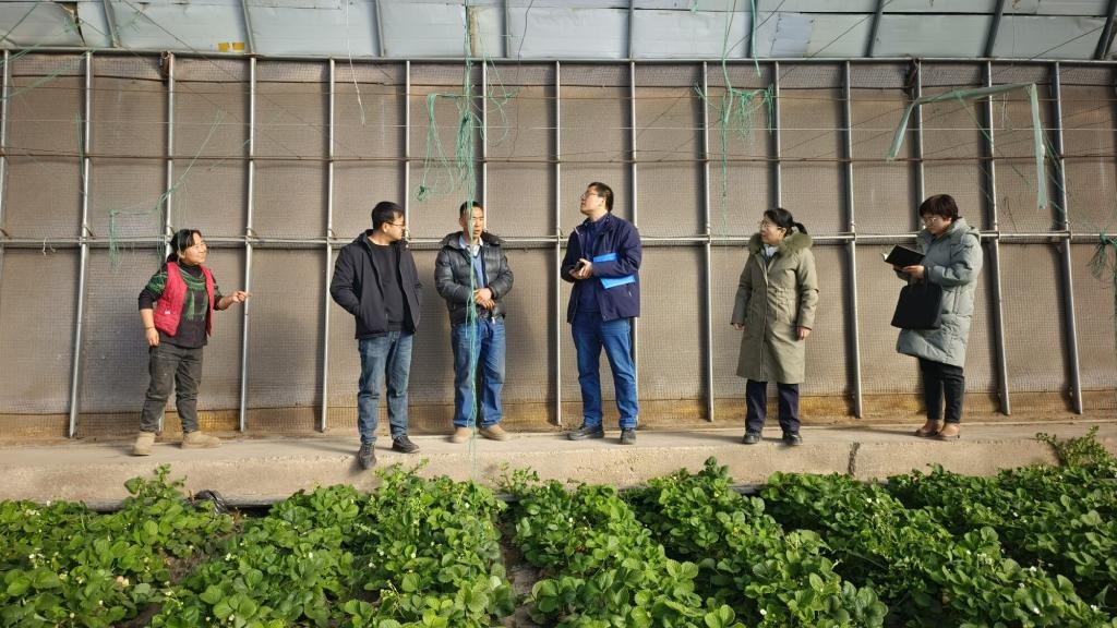 我院蔬菜所与金川区深化合作护航日光温室冬季生产提质增效