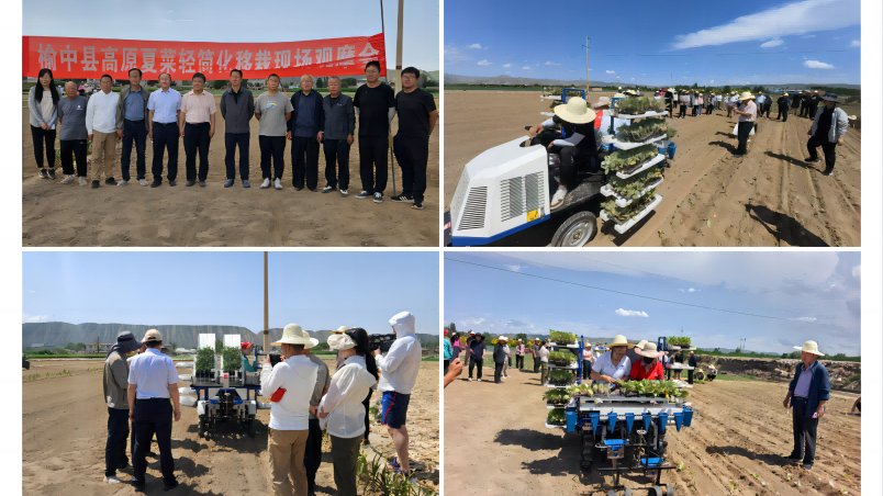 我院蔬菜研究所举办高原夏菜轻简化移栽现场观摩会