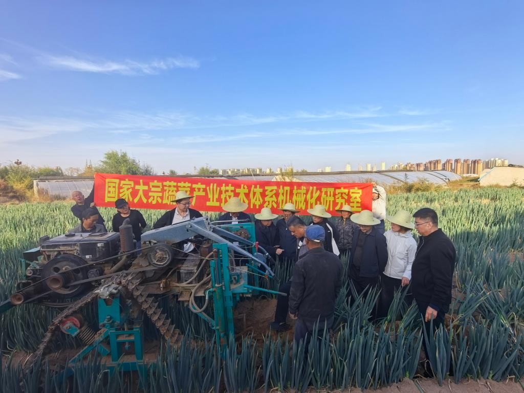 国家大宗蔬菜产业技术体系服务蔬菜机械化生产技术交流会在榆中县举办