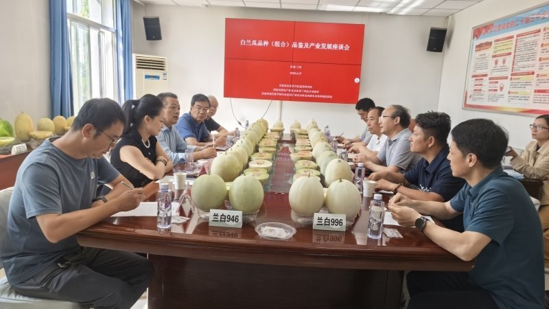我院蔬菜研究所举办甜瓜新品种（组合）品鉴及白兰瓜产业发展座谈会