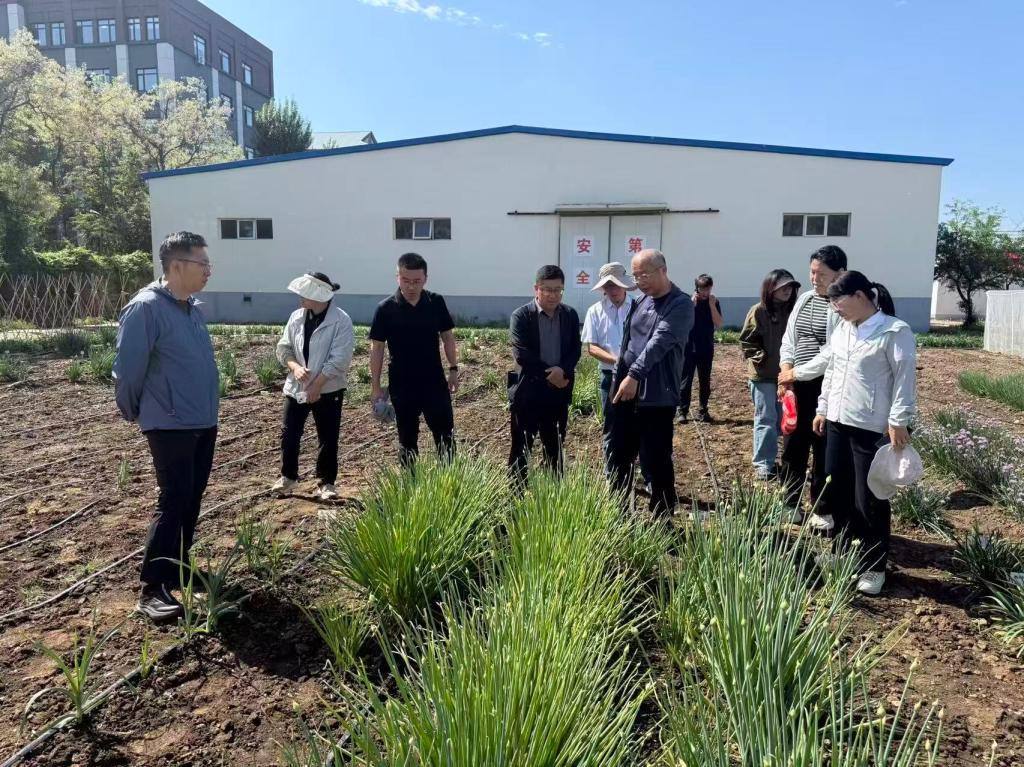我院蔬菜所科技人员赴辽宁省农业科学院交流学习单倍体育种技术