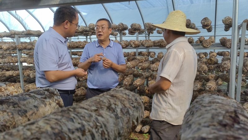 蔬菜研究所科技人员赴积石山县开展技术服务