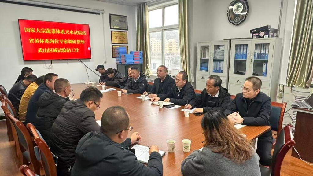 甘肃省现代寒旱特色农业菜产业技术体系岗位专家组团赴武山区域试验站开展产业调研