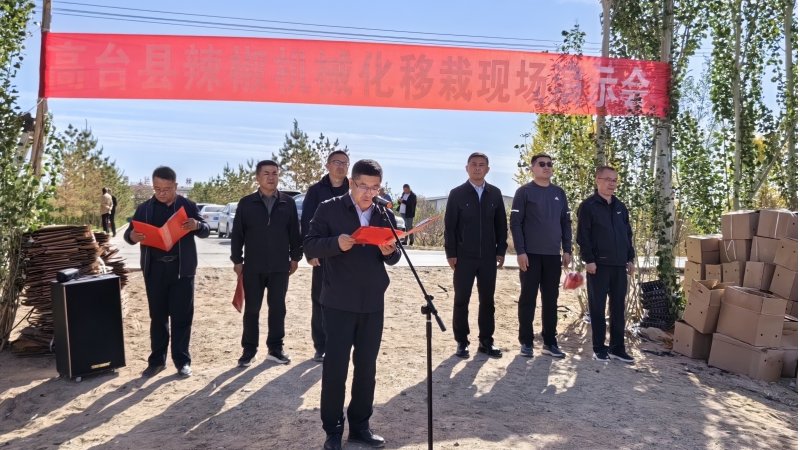 加工辣椒机械化移栽现场观摩会在高台县召开