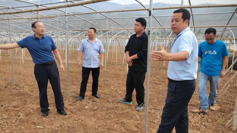 我院蔬菜专家团队赴武山县调研产业发展和对接院地合作